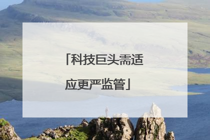 科技巨头需适应更严监管