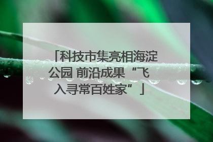 科技市集亮相海淀公园 前沿成果“飞入寻常百姓家”