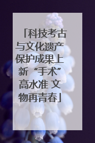 科技考古与文化遗产保护成果上新“手术”高水准 文物再青春