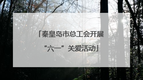 秦皇岛市总工会开展“六一”关爱活动