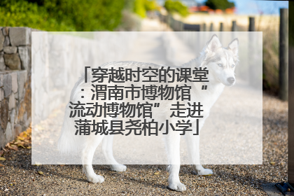 穿越时空的课堂：渭南市博物馆“流动博物馆”走进蒲城县尧柏小学