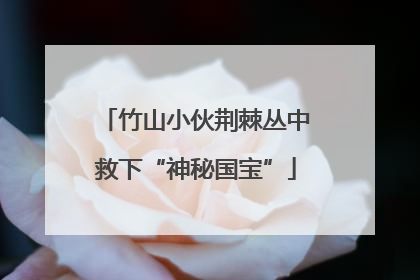 竹山小伙荆棘丛中救下“神秘国宝”