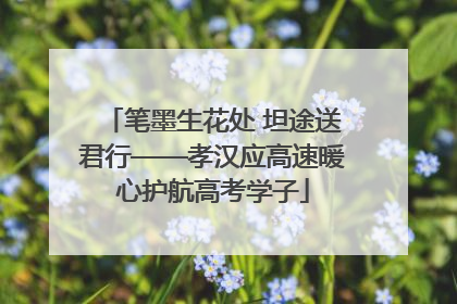 笔墨生花处 坦途送君行——孝汉应高速暖心护航高考学子