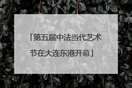 第五届中法当代艺术节在大连东港开幕