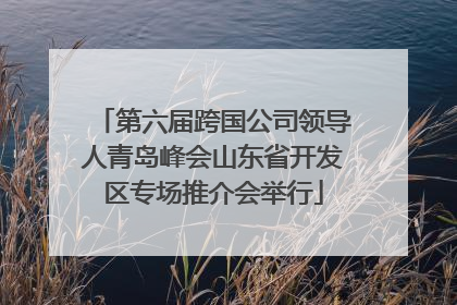 第六届跨国公司领导人青岛峰会山东省开发区专场推介会举行