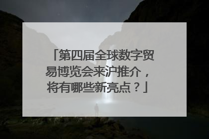 第四届全球数字贸易博览会来沪推介，将有哪些新亮点？
