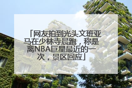 网友拍到光头文班亚马在少林寺晨跑，称是离NBA巨星最近的一次，景区回应
