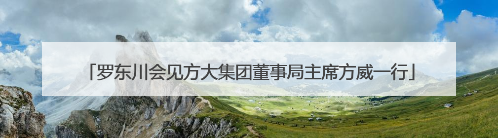 罗东川会见方大集团董事局主席方威一行