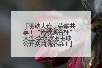 羽动大连，荣耀共享！“诺维溪谷杯”大连·李永波羽毛球公开赛圆满落幕！