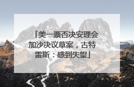 美一票否决安理会加沙决议草案，古特雷斯：感到失望