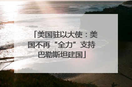 美国驻以大使：美国不再“全力”支持巴勒斯坦建国