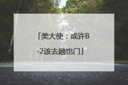 美大使：或许B-2该去趟也门