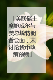 美联储主席鲍威尔与美总统特朗普会面，未讨论货币政策预期