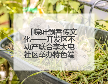 粽叶飘香传文化——开发区不动产联合李太屯社区举办特色端午活动