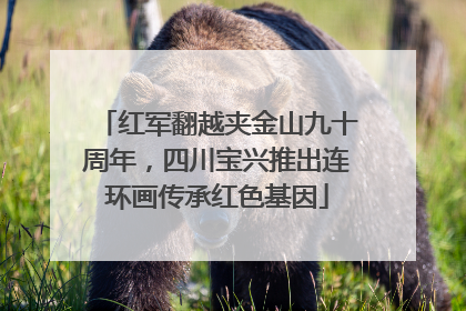 红军翻越夹金山九十周年，四川宝兴推出连环画传承红色基因