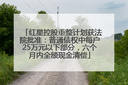 红星控股重整计划获法院批准：普通债权中每户25万元以下部分，六个月内全额现金清偿