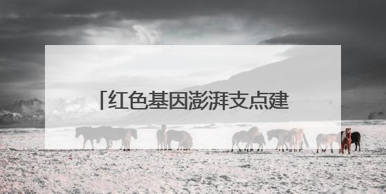 红色基因澎湃支点建设新动能——黄冈传承大别山精神点燃革命老区高质量发展新引擎