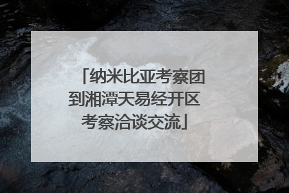 纳米比亚考察团到湘潭天易经开区考察洽谈交流