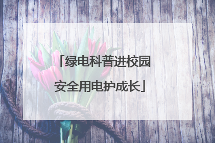 绿电科普进校园 安全用电护成长