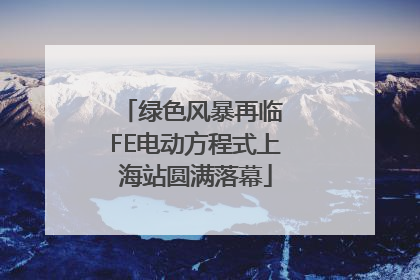绿色风暴再临 FE电动方程式上海站圆满落幕