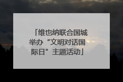 维也纳联合国城举办“文明对话国际日”主题活动