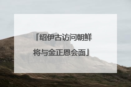 绍伊古访问朝鲜 将与金正恩会面