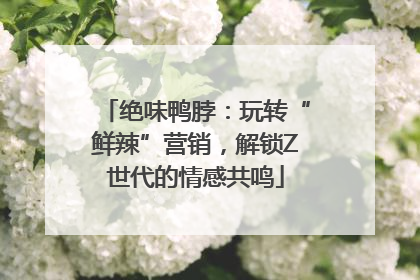 绝味鸭脖：玩转“鲜辣”营销，解锁Z世代的情感共鸣