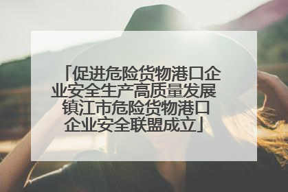 促进危险货物港口企业安全生产高质量发展 镇江市危险货物港口企业安全联盟成立
