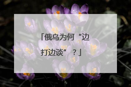 俄乌为何“边打边谈”？