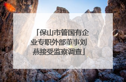 保山市管国有企业专职外部董事刘燕接受监察调查