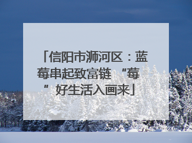 信阳市浉河区：蓝莓串起致富链 “莓”好生活入画来