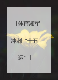 体育湘军冲刺“十五运”