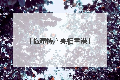 临潼特产亮相香港