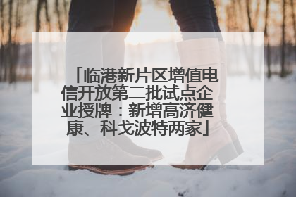 临港新片区增值电信开放第二批试点企业授牌：新增高济健康、科戈波特两家