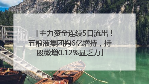 主力资金连续5日流出！五粮液集团掏6亿增持，持股微增0.12%显乏力