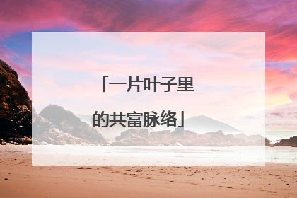 一片叶子里的共富脉络