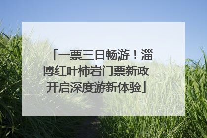 一票三日畅游！淄博红叶柿岩门票新政开启深度游新体验