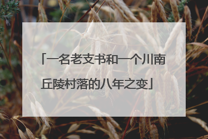 一名老支书和一个川南丘陵村落的八年之变