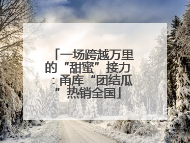 一场跨越万里的“甜蜜”接力：甬库“团结瓜”热销全国