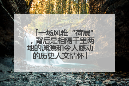 一场风雅“荷展”，背后是相隔千里两地的渊源和令人感动的历史人文情怀
