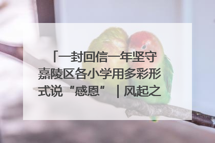 一封回信一年坚守 嘉陵区各小学用多彩形式说“感恩”｜风起之江 扶摇直上