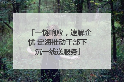 一链响应，速解企忧 定海推动干部下沉一线送服务