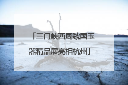 三门峡西周虢国玉器精品展亮相杭州
