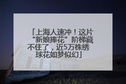 上海人速冲！这片“新娘捧花”阶梯藏不住了，近5万株绣球花如梦似幻