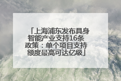 上海浦东发布具身智能产业支持16条政策：单个项目支持额度最高可达亿级