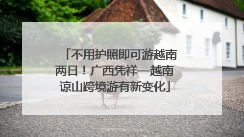不用护照即可游越南两日！广西凭祥—越南谅山跨境游有新变化