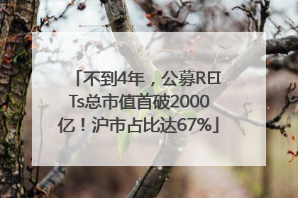 不到4年，公募REITs总市值首破2000亿！沪市占比达67%
