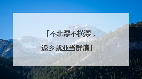 不北漂不横漂，返乡就业当群演