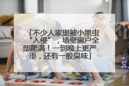 不少人家里被小黑虫“入侵”，墙壁窗户全部爬满！一到晚上更严重，还有一股臭味