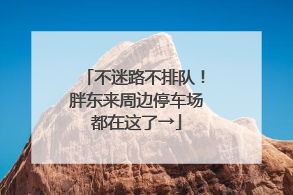不迷路不排队！胖东来周边停车场都在这了→
